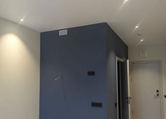 Квартира на продажу студия, 24.8 м2, Санкт-Петербург, проспект Энергетиков, 8к2