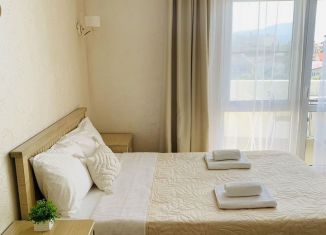 Сдается в аренду квартира студия, 35 м2, Сочи, переулок Богдана Хмельницкого, 14А, микрорайон Центральный