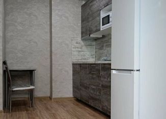 Сдается в аренду квартира студия, 25 м2, Ростов-на-Дону, улица Тимофеева, 14к1, ЖК Платовский