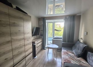 Продам 1-комнатную квартиру, 29.8 м2, Ижевск, улица Ворошилова, 7