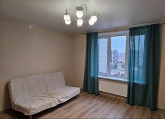 Аренда 2-ком. квартиры, 50 м2, деревня Куюки, Тихая улица, 6