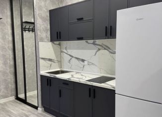 Продается квартира студия, 29 м2, Ростов-на-Дону, ЖК Пятый Элемент, улица Ерёменко, 110с1