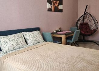 Квартира в аренду студия, 33.7 м2, Пермь, улица Куйбышева, 135, Свердловский район