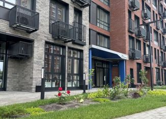 2-комнатная квартира на продажу, 63.6 м2, Воронеж, набережная Чуева, 7