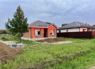 Продаю дом, 90 м2, деревня Паренкина