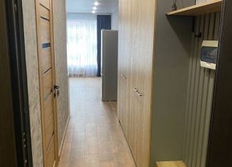 Аренда квартиры студии, 35 м2, Мурино, улица Шоссе в Лаврики, 63