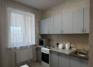 Сдам в аренду 1-ком. квартиру, 35 м2, Пермь, улица Чернышевского, ЖК Альпийская Горка