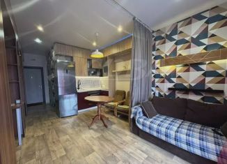 Продаю квартиру студию, 25.3 м2, Тюмень, Полевая улица, 109к1