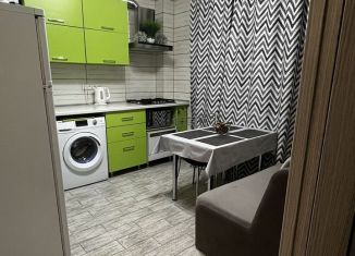 Сдается в аренду 1-ком. квартира, 28 м2, Сириус, Ружейная улица, 21