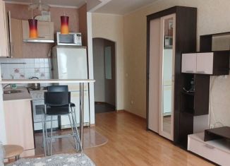 Сдам квартиру студию, 29 м2, Санкт-Петербург, Ленинский проспект, 82к1