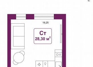 Продам квартиру студию, 28.3 м2, деревня Дударева, улица Сергея Джанбровского, 25