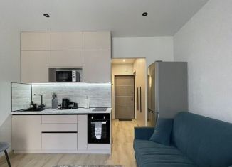 Продам квартиру студию, 27 м2, Сочи, улица Искры, 88, ЖК Летний