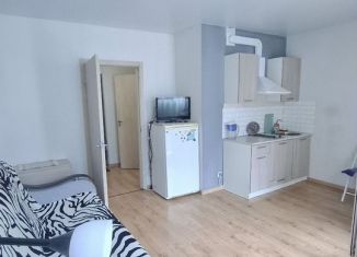 Сдача в аренду квартиры студии, 24 м2, Санкт-Петербург, улица Крыленко, 1к1с3, ЖК О'Юность