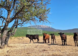 Продажа земельного участка, 185 сот., 67Н-5
