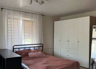 Сдается в аренду 1-комнатная квартира, 30 м2, Уфа, Революционная улица, 131