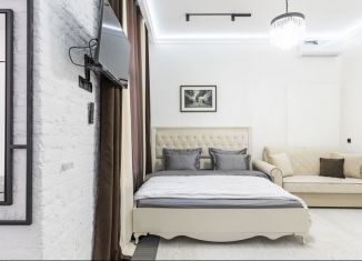 Сдаю квартиру студию, 28 м2, Санкт-Петербург, набережная канала Грибоедова, 42