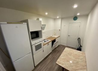Сдается в аренду 2-ком. квартира, 55 м2, Пенза, улица Измайлова, 74