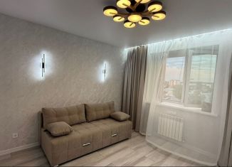 Сдается в аренду 1-комнатная квартира, 35 м2, Йошкар-Ола, улица Кирова, 25, микрорайон Мирный