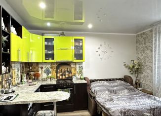 Квартира на продажу студия, 27 м2, Новоалтайск, улица Анатолия, 92