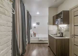 Квартира в аренду студия, 16 м2, Санкт-Петербург, улица Ленина, 49