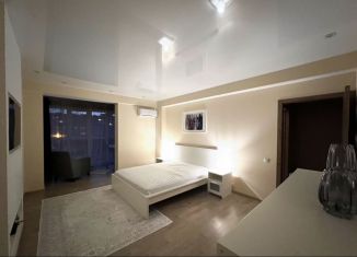 Сдаю в аренду однокомнатную квартиру, 58 м2, Ивановская область, улица Наумова, 5