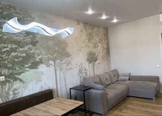 2-ком. квартира на продажу, 61.1 м2, Санкт-Петербург, Парашютная улица, 56к1, ЖК Каменка