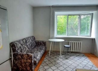 Сдача в аренду 1-ком. квартиры, 22 м2, Пермь, Торговая улица, 8, Кировский район