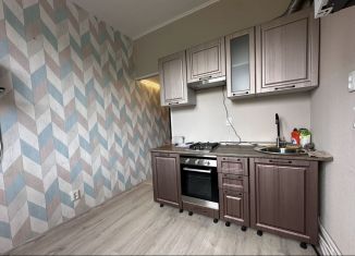 Продается однокомнатная квартира, 30 м2, Шлиссельбург, улица Чекалова, 37