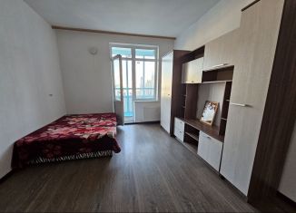 Продажа квартиры студии, 24.9 м2, Санкт-Петербург, Арцеуловская аллея, муниципальный округ Коломяги