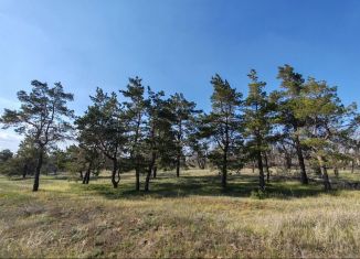 Продаю участок, 10 сот., поселок Царицын, Берёзовая улица, 8