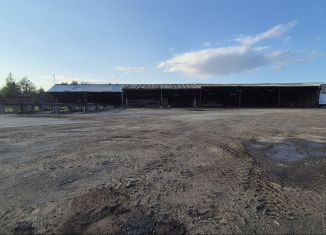 Сдам в аренду производство, 850 м2, Петрозаводск, Черёмуховый проезд, 11