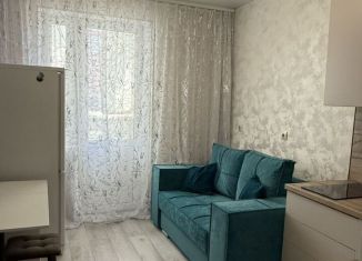 Сдаю в аренду 1-ком. квартиру, 34 м2, Краснодар, улица Петра Метальникова, 3/1к1, Музыкальный микрорайон