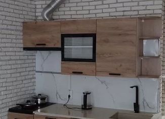 Сдается в аренду квартира студия, 23 м2, Мытищи, улица Академика Каргина, 25, ЖК Отрадный