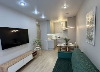 Сдаю в аренду 1-комнатную квартиру, 39 м2, Республика Башкортостан, улица Энтузиастов, 7