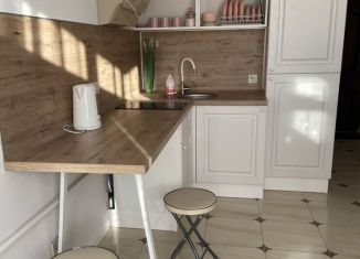 Сдается в аренду квартира студия, 41 м2, Сочи, СНТ Фронтовик, 78/24А