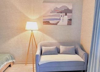 Сдается в аренду однокомнатная квартира, 34 м2, Йошкар-Ола, улица Анциферова, 38, микрорайон Предзаводской