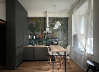 Сдам квартиру студию, 24.4 м2, Санкт-Петербург, улица Шкапина, 24