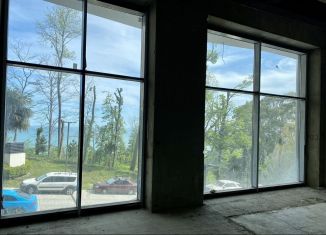 Продам квартиру со свободной планировкой, 101 м2, Сочи, микрорайон Приморье, Курортный проспект, 105