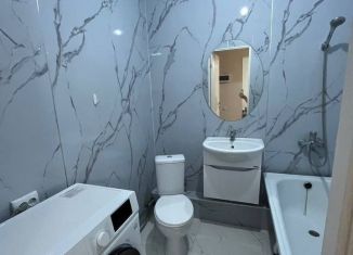 Сдается 1-ком. квартира, 34.5 м2, Санкт-Петербург, Заневский проспект, 32к3