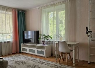 Сдаю в аренду однокомнатную квартиру, 45 м2, Санкт-Петербург, проспект Ленина, 21В