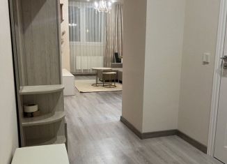 Сдача в аренду квартиры студии, 25 м2, Краснодар, Российская улица, 267к5, Музыкальный микрорайон