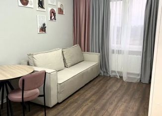 Сдам в аренду квартиру студию, 22 м2, Санкт-Петербург, Пейзажная улица, 30, метро Девяткино