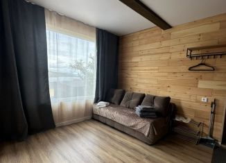 Сдается дом, 42 м2, деревня Куркут