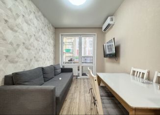 Сдаю в аренду 1-комнатную квартиру, 35 м2, Республика Башкортостан, улица Энтузиастов, 15