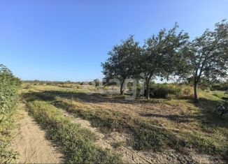 Продаю участок, 5 сот., деревня Добрунь