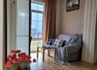 Сдаю в аренду квартиру студию, 30 м2, Сочи, Православная улица, 15/7А, микрорайон Энергетик-Изумруд