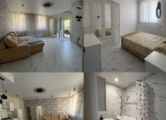 Сдача в аренду 2-ком. квартиры, 50 м2, посёлок городского типа Дагомыс, Тамбовский переулок, 10/3