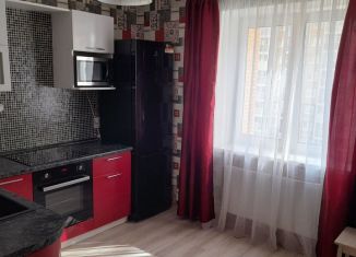 Сдаю 2-ком. квартиру, 52 м2, городской посёлок Янино-1, Голландская улица, 10к1