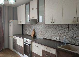 Сдается в аренду однокомнатная квартира, 42 м2, Уфа, улица Набережная реки Уфы, 27