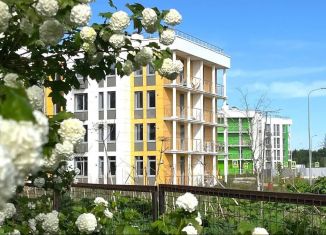 Продам однокомнатную квартиру, 36.8 м2, деревня Раёво, Ирландская улица, 4к2